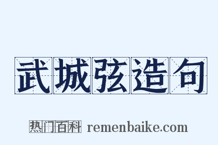 武城弦造句是什么意思的图片